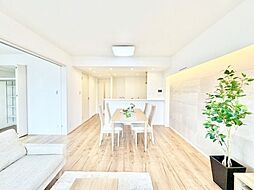 クレッセント二子多摩川II