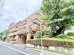 スターロワイヤル雪谷