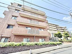 シャールレーク大井桜通り