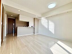 ザ・パークハウス川崎矢向