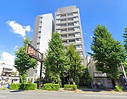 メセーヌ 901