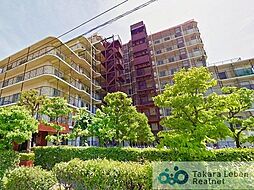 蓮根サンハイツ 706