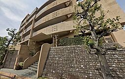 ザ・ステイツ常盤台東山コモンズ 201