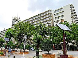 志木ハイデンス 511