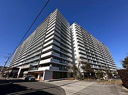 サクラディアサークルコート 541