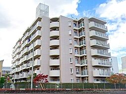 メイツ武蔵浦和 203