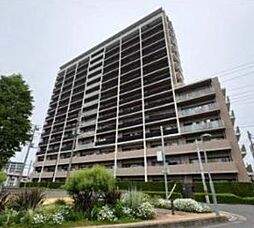 川口ティーブルー