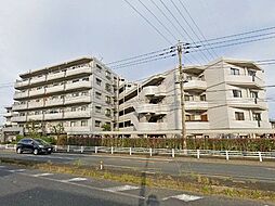 ワコーレ越谷 415