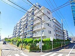 エバーグリーン川口