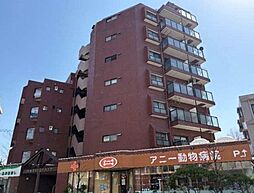 丸嶋キョウエイハイツ上井草 604
