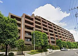 レクセルプラッツァせんげん台弐番館 113