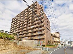 コスモ朝霞台 1002