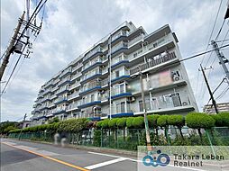 エバーグリーン川口 205