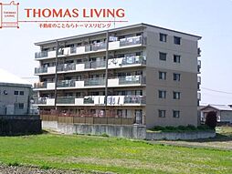 ヴァンクリーフSeri