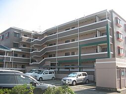 ベルビーアドニス 109