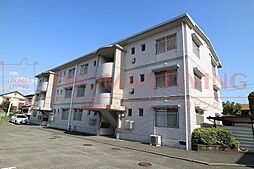 アイビーハイツ 305