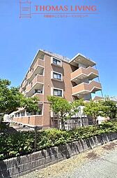 スカイコート21 204