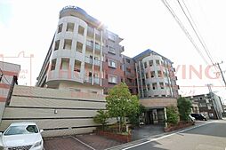 ニューガイア空港通り 401