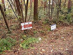 ロイヤルシティ大山リゾート内　E-11　180万円