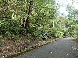 ロイヤルシティ大山リゾート内　E-48　390万円