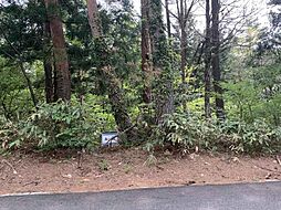 ロイヤルシティ大山リゾート内 A-43 1万円