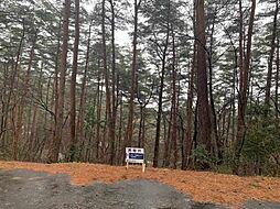 ロイヤルシティ大山リゾート内　D-12　20万円