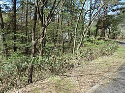 ロイヤルシティ大山リゾート内 B-23 300万円