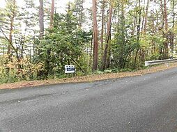 ロイヤルシティ大山リゾート内　D-11　60万円