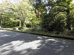 西伯郡伯耆町大瀧(大山の森)　売土地　20万円