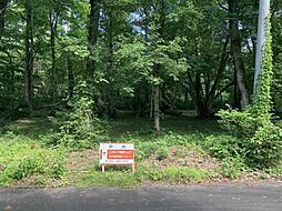 西伯郡伯耆町大瀧(大山の森別荘地内) 売土地　500万円