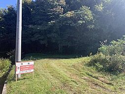 西伯郡南部町阿賀 売土地 450万円