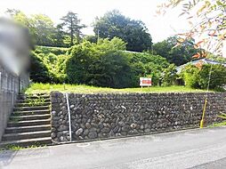 西伯郡南部町西町　売土地　230万円