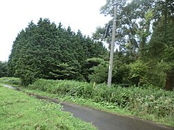 西伯郡伯耆町岩立(桝水高原ヴィラ)売土地 703.3万