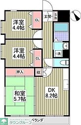 ピュアコート柏 201