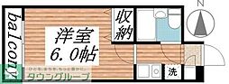 ジョイフル柏 203