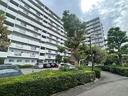 コンホール南柏