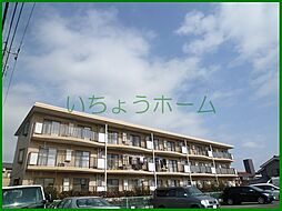 パレスロンキン