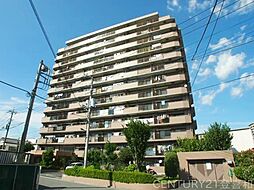 ダイアパレス朝霞台III