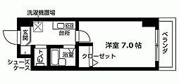 Nasic中山 504