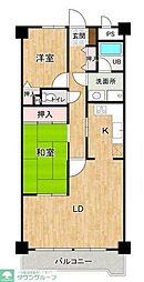 ライズウィステリア 203