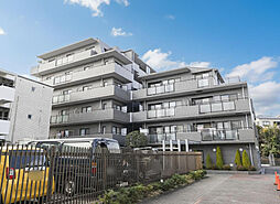 ソフィア綱島 107号室