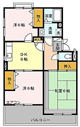 新座市野火止６丁目