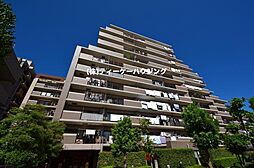 アメニクス川口