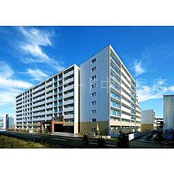 ホーリーフォート南平岸 205