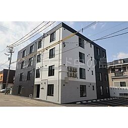 Aster月寒西II 305