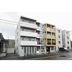 PANTANAL(パンタナール) 302