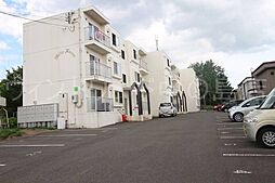 ホワイトハウス 205