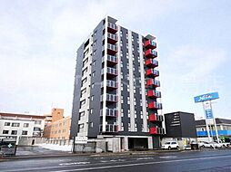 ibiza(イビザ) 705