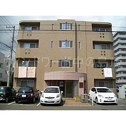 オリエントコートS14W8 302