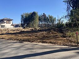 守谷市大柏の土地